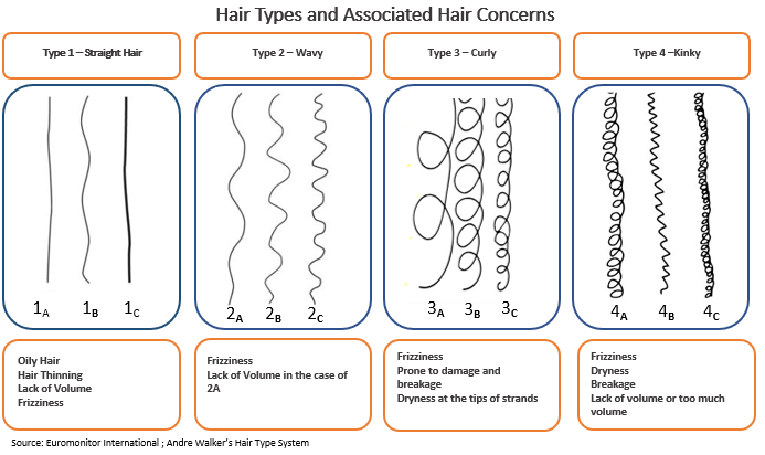 Hair types and associated concerns.png
