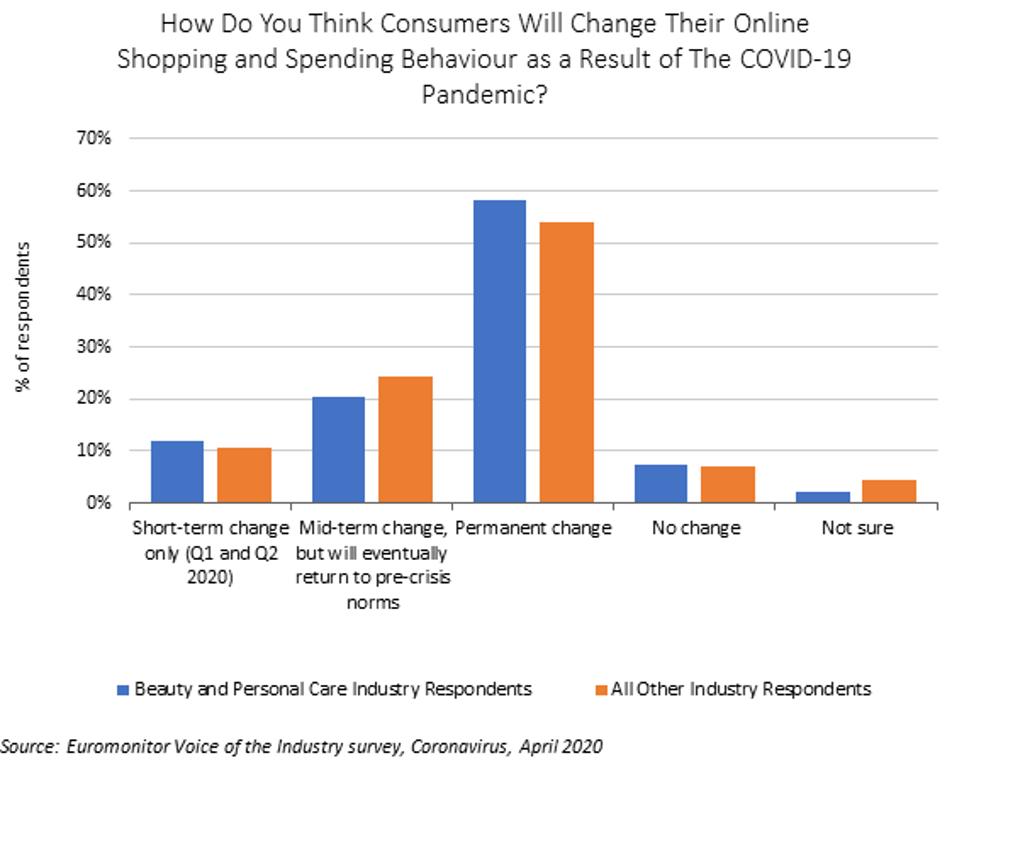 Chart 2 Voice Of The Industry Online Shopping Behaviour