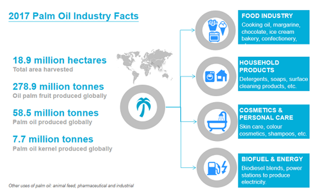 Palm Oil Overview 1