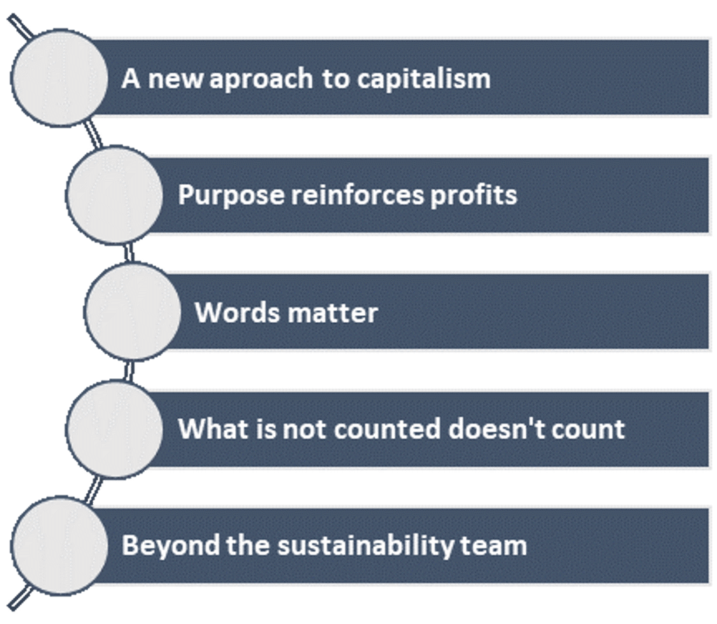 From Sustainability to Purpose: Lessons Learnt