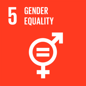 UN goal gender equality